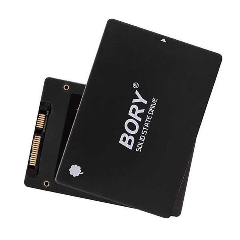 2 TB BORY SATA3 R500-C2T SSD 550/510 MBS (3 YIL GARANTİLİ) 