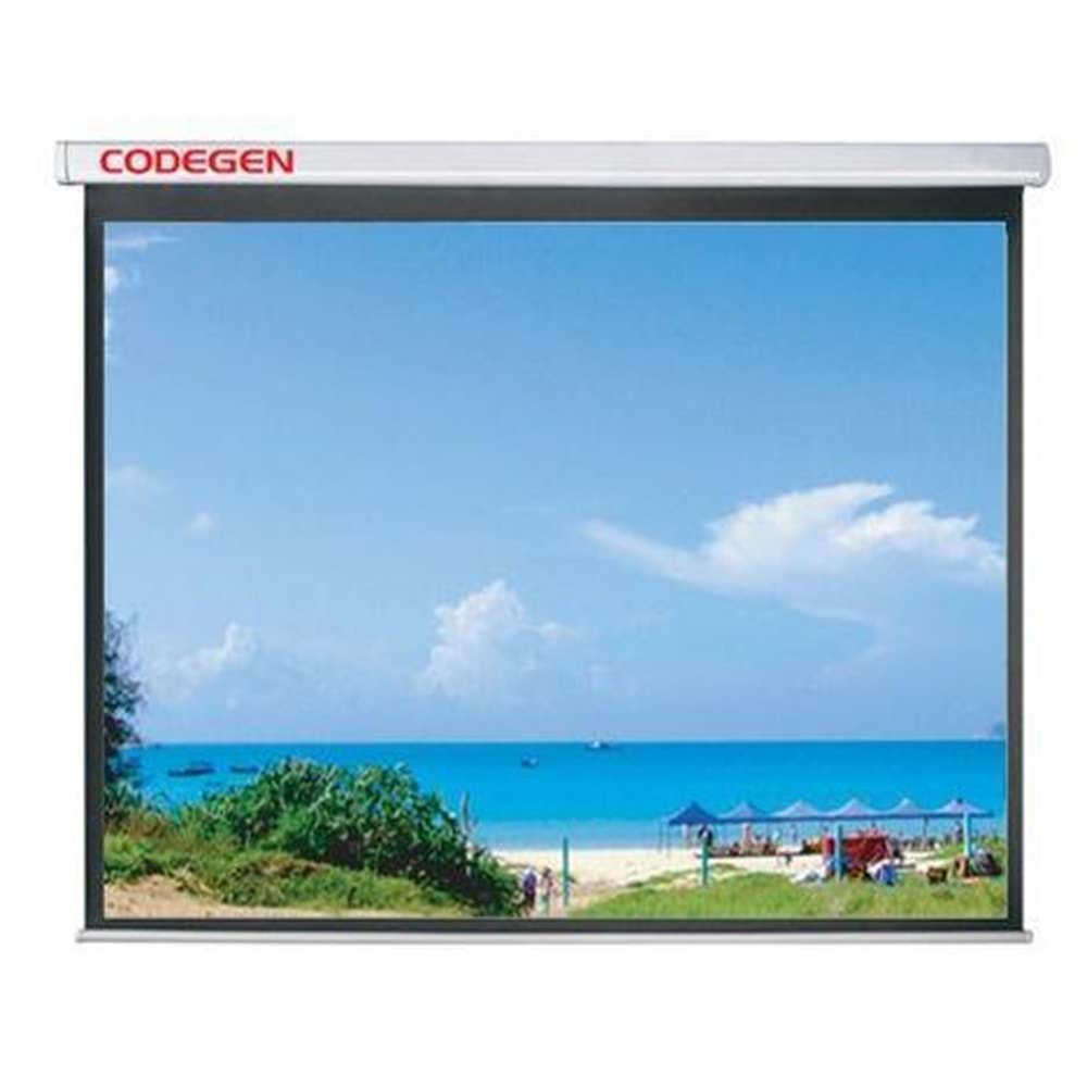 CODEGEN AX-24 240X200 STORLU PERDE 