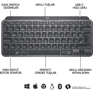 LOGITECH MX KEYS MINI MINIMALIST KABLOSUZ BLUETOOTH AYDINLATMALI Q TR KLAVYE SİYAH 920-010504 