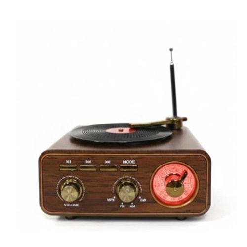 Everton RT-1317bt Bluetooth Usb-Micro Plak Radyo