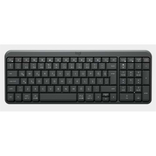 Logitech 920-013460 K250 Kablosuz Bluetooth Siyah Klavye 