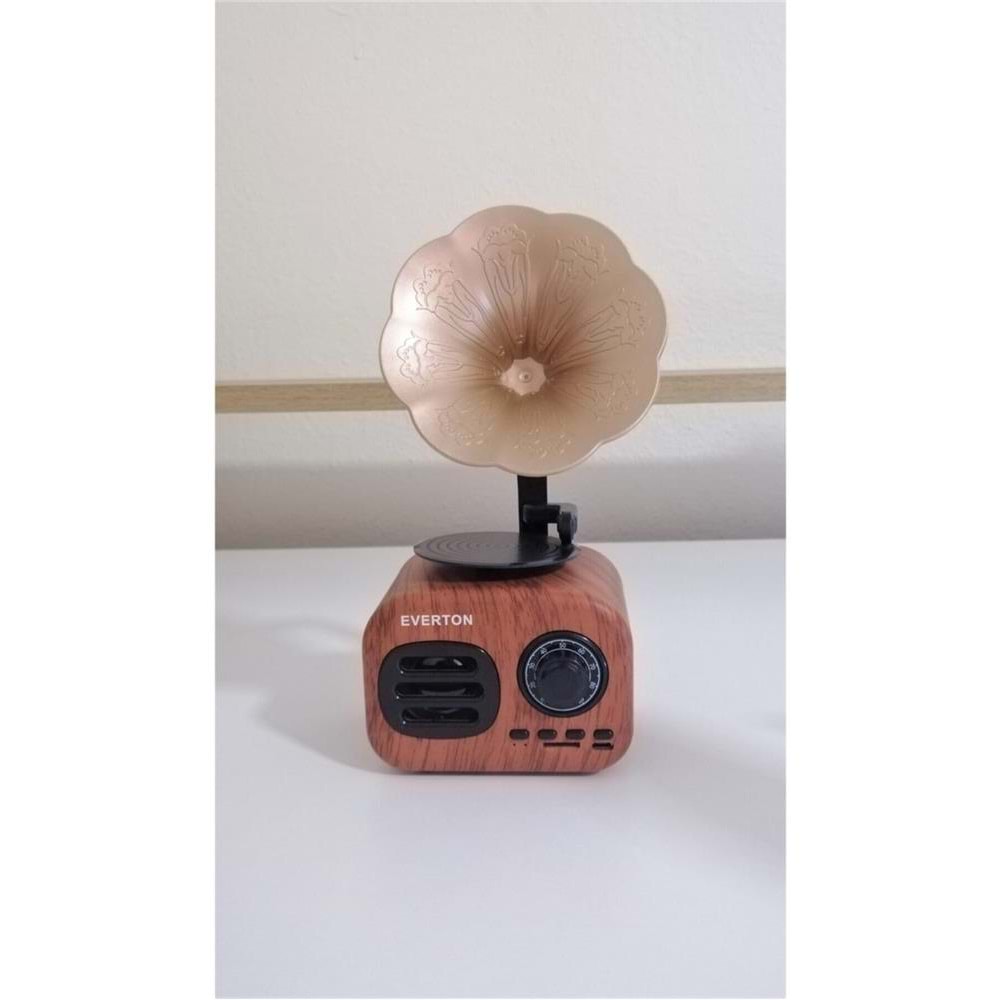 Everton Rt-705Bt Bluetooth -TfCard Nostalji FM Radyo 