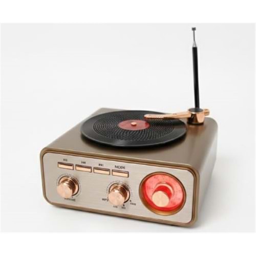 Everton RT-1217bt Bluetooth Usb-Micro Plak Radyo